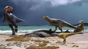 Un desconocido cementerio de dinosaurios aparece repentinamente en Marruecos con las claves de su extinción