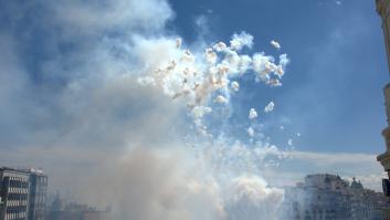 Las 134 especies que corren peligro por la mascletá de Madrid