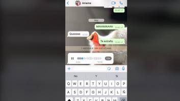 Le dice a su madre por WhatsApp que la echa de menos y la respuesta de ella lleva 350.000 me gusta