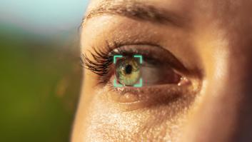 Las potenciales violaciones a la intimidad en la cesión de datos del iris