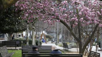 "La primavera la sangre altera": la verdad científica de este mito