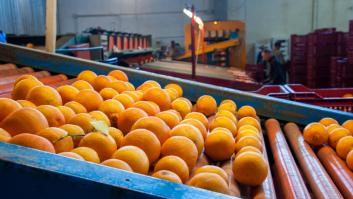 Abren la presa, inundan su finca y contraataca con el zumo de sus casi 100 mil kilos de naranjas podridas