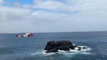 El charrán levanta una casa en el islote deshabitado de Canarias