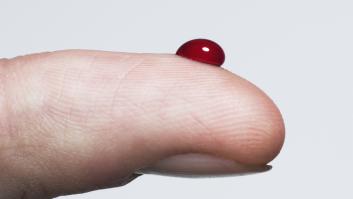 La curiosa razón por la que sangre es femenino en español y en otros idiomas masculino