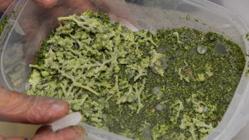 Golpe policial al hachís ultra concentrado en España: ¿qué es el 'rosin'?