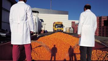 Egipto rompe los precios de zumos Don Simón