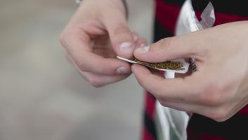 Las cinco comunidades que se apuntan a la nueva ley antitabaco