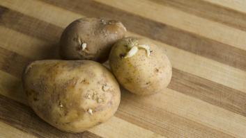 El compañero común que está arruinando las patatas