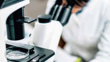 La comunidad científica está descolocada por el hallazgo de plásticos en un esqueleto del siglo I