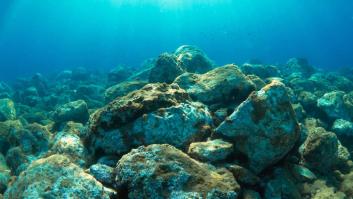 Descubren una isla sumergida con 80 millones de años de antigüedad