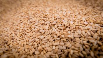 Alerta alimentaria por salmonela en dos especias de Turquía y Egipto presentes en España