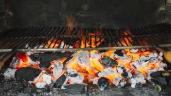 Barbacoa de gas o de carbón: la OCU da el carpetazo final al eterno debate del verano