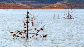 Una de las provincias más secas de España asombra con sus embalses casi a rebosar