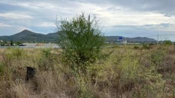 Hacienda tira los precios de algunas enormes fincas y las deja a un precio de salida de 113 euros