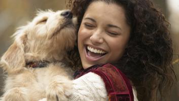 Los expertos recomiendan acostumbrar a tu perro a estos hábitos para ayudarle a tener una vida larga