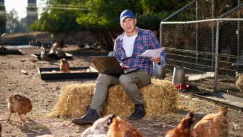 La 'llave365' para regular los gallineros de autoconsumo en solo tres minutos