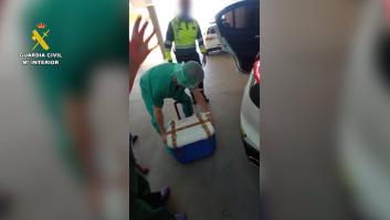 Inédito transporte de un corazón humano de la Guardia Civil