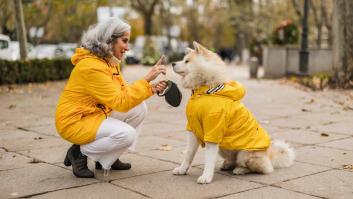 Soy veterinario y te revelo los trucos clave para que tu perro viva muchos más años