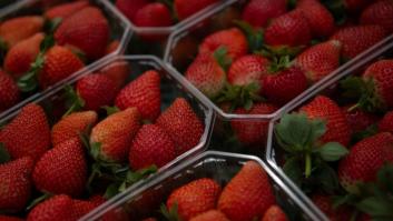 Huelva pide sus fresas a Segovia