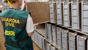La Guardia Civil asesta un golpe a una copia de tabaco 'nunca vista' en España