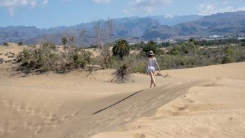 Máxima alerta en Maspalomas por la invasión de una planta que viaja en la suela de los zapatos