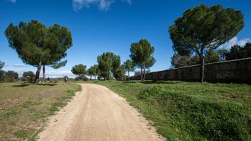 La 'ciudad de los ricos' en España aprueba talar un bosque centenario
