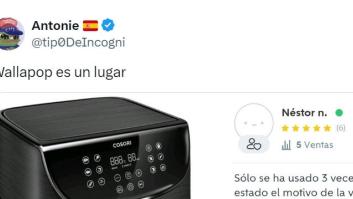 Vende una freidora en Wallapop por un motivo insuperable: la descripción es digna de estar en un museo
