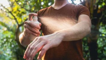 Detectan un nuevo tipo de garrapata en España con repercusiones para el ser humano