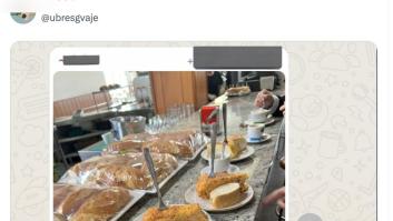 Manda a un grupo de WhatsApp la tortilla del bar: recibe una respuesta tan graciosa como dolorosa
