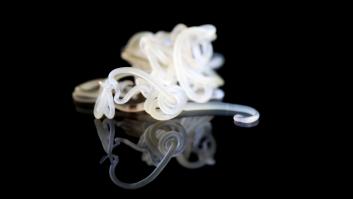 Los pescados que pueden esconder parásitos de 10 metros de largo