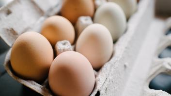 Esta es la gran diferencia entre los huevos blancos y marrones