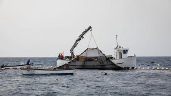 Una técnica nutricionista aclara la cantidad de latas de atún que puedes comer a la semana