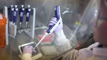 Alerta por gripe aviar en una granja de pavos en Ahillones (Badajoz)