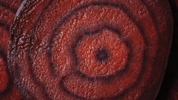 Euforia en Primark por la cosecha de remolacha española