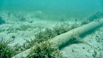 Un cable de Canarias deja sin electricidad a tres países de África