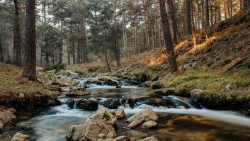 El pueblo de Segovia que parece 'los Alpes españoles' donde las cigueñas campan a sus anchas
