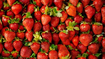 La única fresa japonesa de Europa se cultiva en España y cuesta 124 euros el kilo