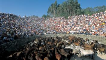 Rapa das Bestas 2024: entradas, fechas y todo lo que tienes que saber