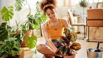 La planta muy común en jardines españoles que es venenosa y tiene efectos sedantes si se come
