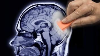 Estos 5 alimentos están acabando con tu memoria, según Harvard