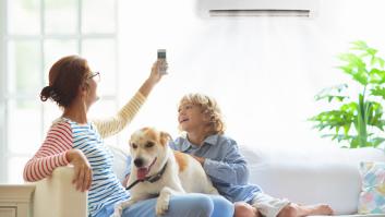 Estas son las consecuencias del aire acondicionado en el aparato respiratorio de un perro