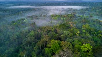 Alerta mundial por el colapso en el Amazonas: una superficie mayor que España ya ha desaparecido