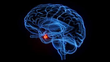 Los seis alimentos avalados por los científicos para revitalizar tu cerebro