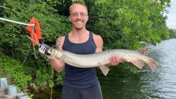 Pesca uno de los dinosaurios vivientes más grandes del mundo y bate todos los récords