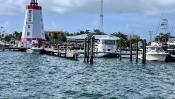 Los científicos activan la alarma ante la primera extinción causada por el mar