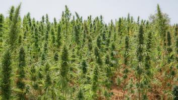 La fragancia muy particular que desprende si rascas la moneda de este pequeño país