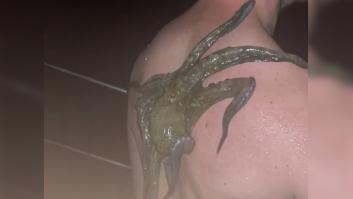 Se le engancha un pulpo a la espalda y su forma de librarse de la criatura es muy española