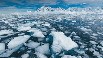 Científicos alertan de que el derretimiento acelerado de la Antártida abre la puerta a los invasores