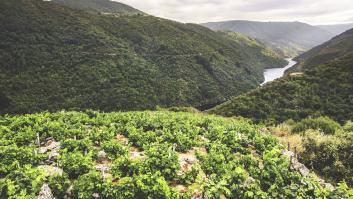 Casa y trabajo por 300 euros: la idea de Ikea para repoblar un municipio con microclima único