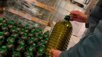 Europa anuncia la era dorada del aceite de oliva español con un gran asterisco negativo para este sector
